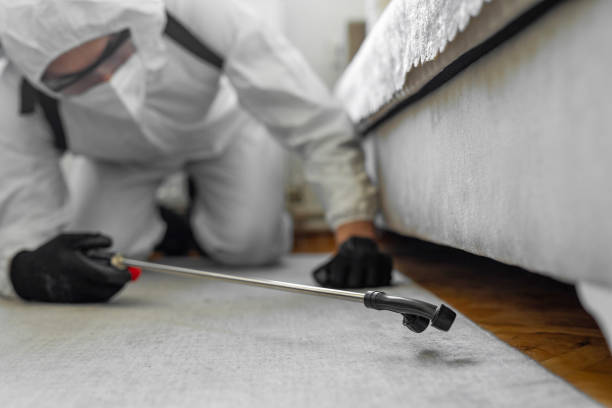 Professional Emergency Pest Control technician working in Yanceyville, NC