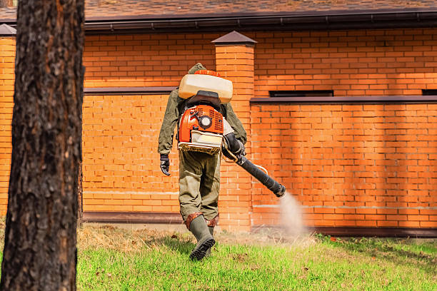 Trusted Emergency Pest Control service in Yanceyville, NC - Nex Pest Control